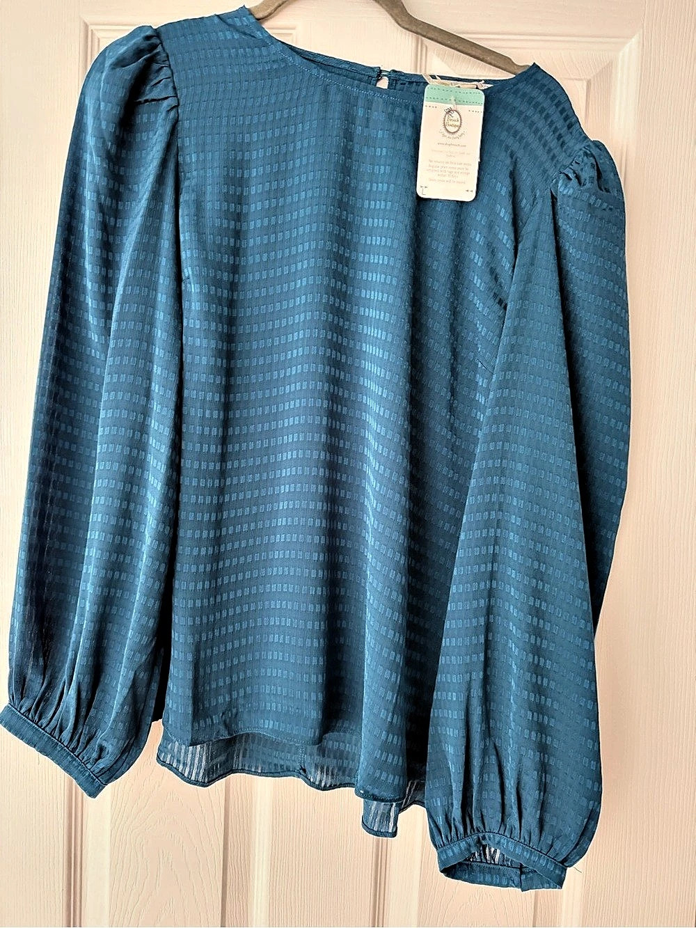 Long Sleeve Blouse in Blue NWT